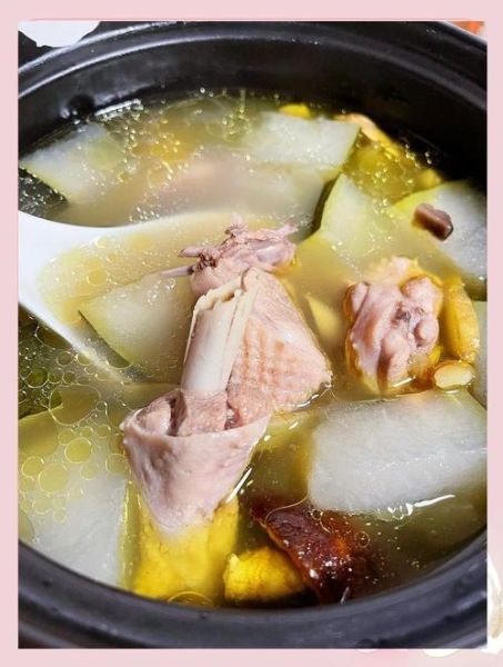 冬瓜老鸭汤怎么做_冬瓜老鸭汤的功效与禁忌