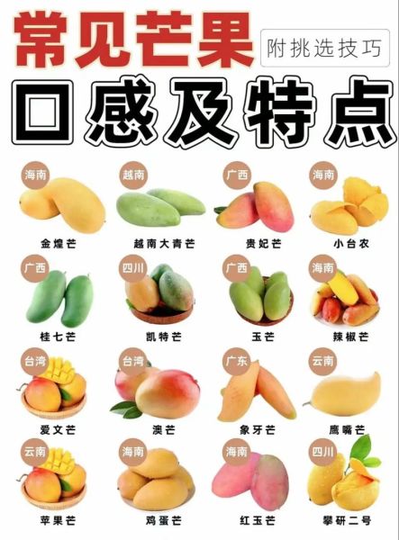 芒果外皮颜色代表什么_如何挑选成熟芒果