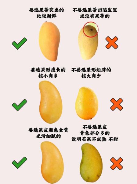 芒果外皮颜色代表什么_如何挑选成熟芒果