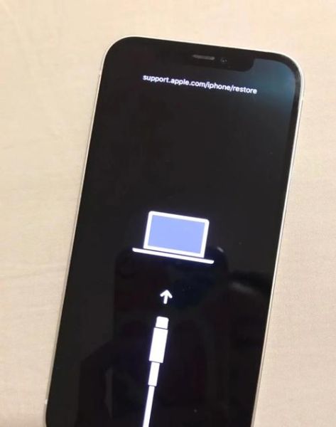 手机突然黑屏开不了机怎么办_手机没电关机后无法开机