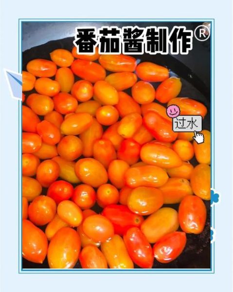 自制西红柿酱的做法_西红柿酱怎么保存