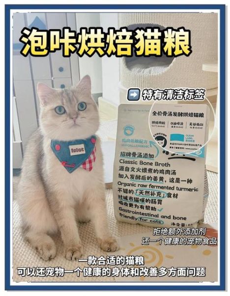 如何挑选优质猫粮_猫咪软便吃什么猫粮好