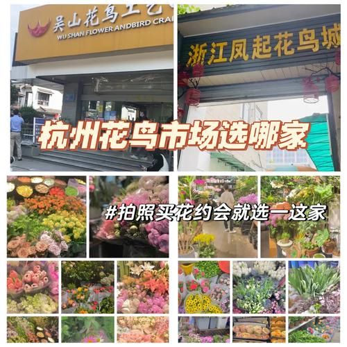 花鸟城在哪里_花鸟城营业时间