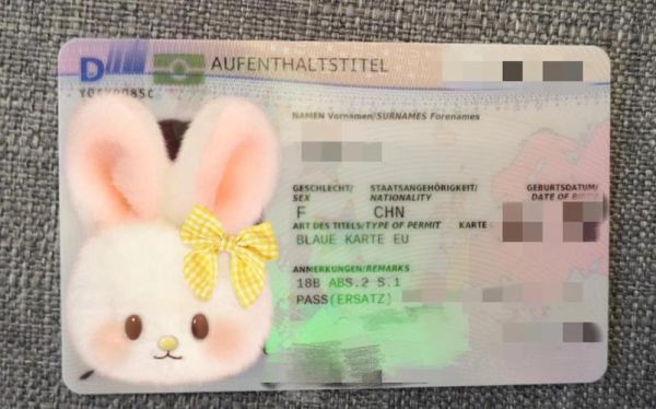 德国移民蓝卡申请条件_德国蓝卡转永居要几年