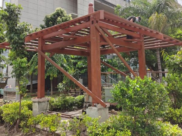 亭子适合种什么植物_亭子周围适合种什么树