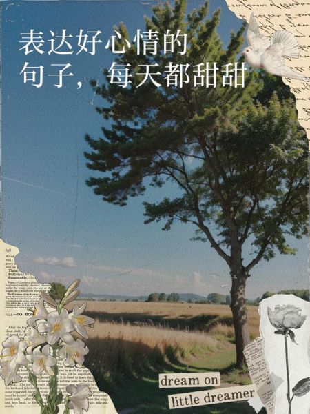 如何描写甜味_甜味的优美句子怎么写