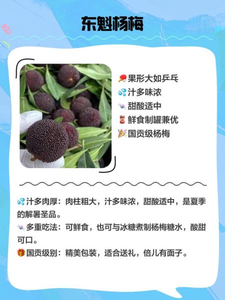 杨梅怎么挑选_杨梅有哪些品种