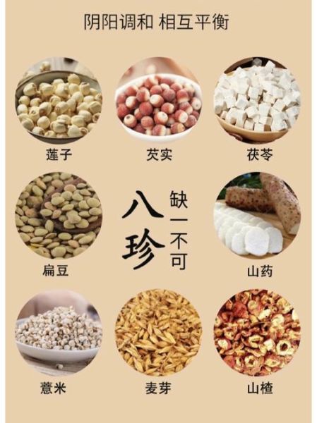 湿气重吃什么食物好_湿气重怎么调理最快