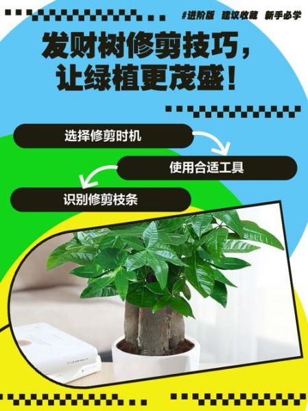 茂盛而繁密的植物怎么养_茂盛而繁密的绿植如何修剪