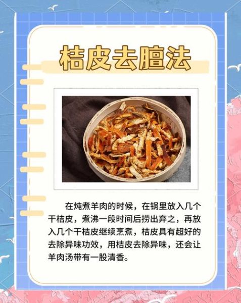 炖羊肉的做法_如何去除膻味