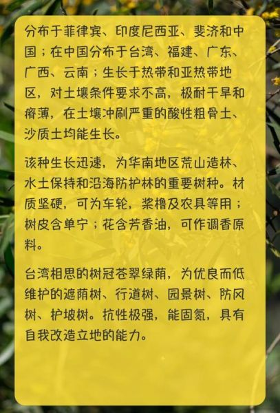 保护的人有哪些称呼_守护者别称大全