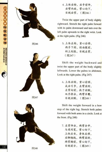 太极后接什么词语_太极后接什么动作