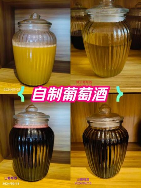 自酿葡萄酒怎么做_家庭自酿葡萄酒详细步骤