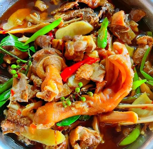 鹅肉怎么做好吃_家常鹅肉做法大全