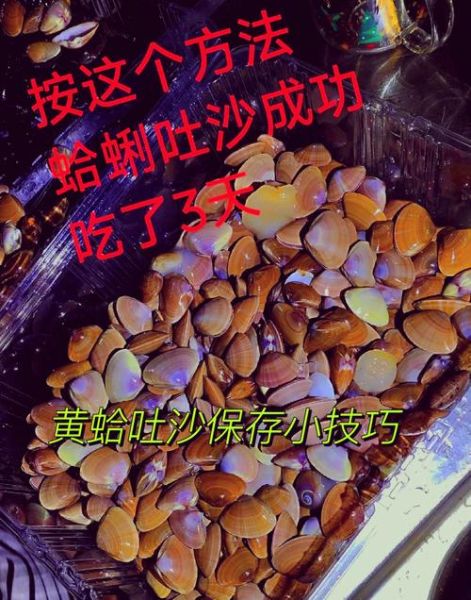 蛤蜊怎么清洗才干净_蛤蜊的家常做法步骤
