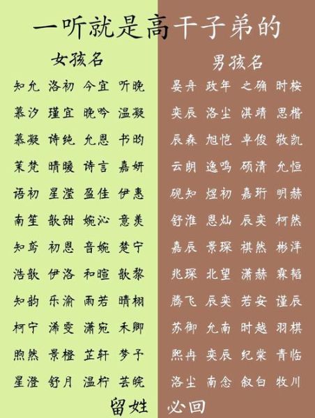 什么什么宝宝起名_什么什么宝宝名字大全