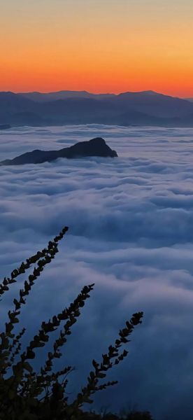 远山的含义是什么_远山的象征意义有哪些