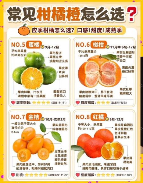 橙子怎么挑选甜的_橙子品种哪个最好吃