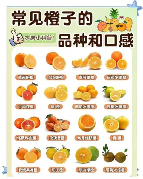 橙子怎么挑选甜的_橙子品种哪个最好吃
