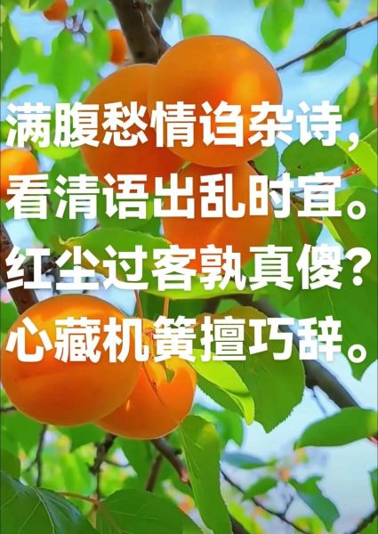 心愁是什么意思_如何缓解心愁