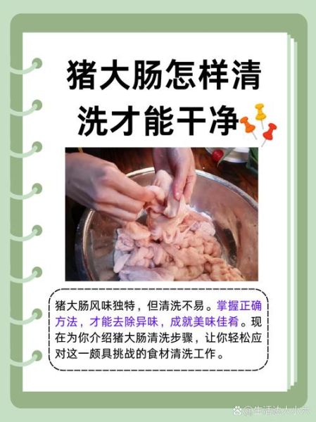 大肠怎么清洗_大肠炒多久才脆