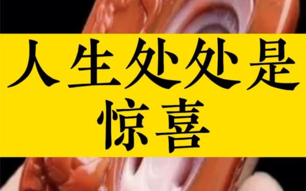 惊喜有什么词语_如何表达惊喜