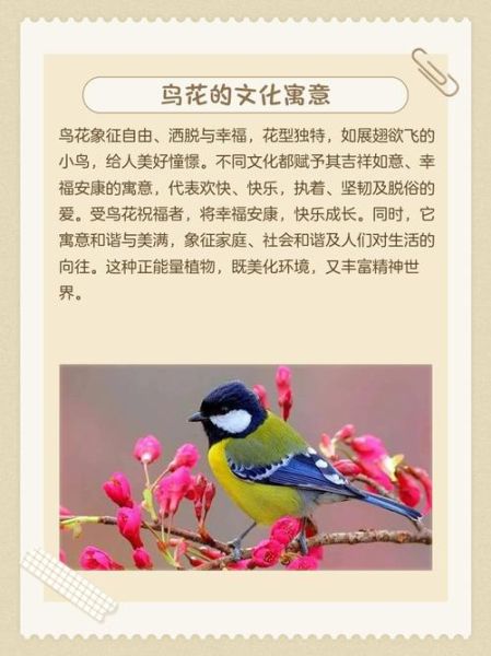 花鸟能组成哪些词语_花鸟词语大全