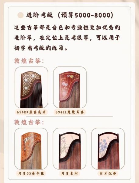 古琴初学者买什么价位_古琴和古筝的区别