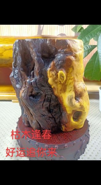 枯木逢春是什么意思_枯木还能做什么手工