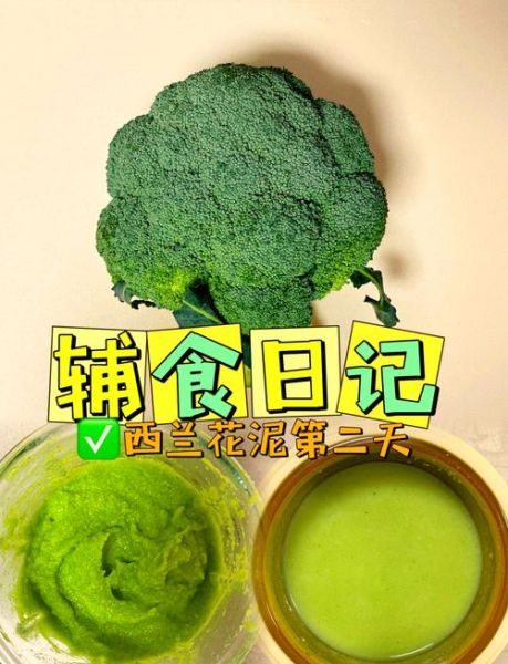 宝宝辅食西兰花怎么做_西兰花泥几个月能吃