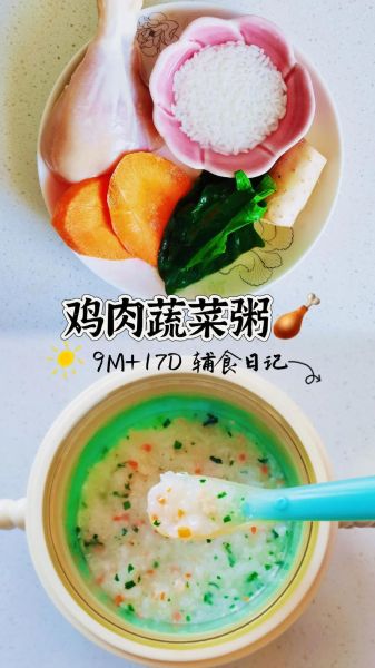蔬菜粥怎么煮_蔬菜粥的家常做法