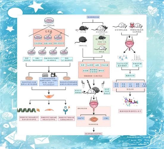 兽医移民条件_兽医技术移民流程