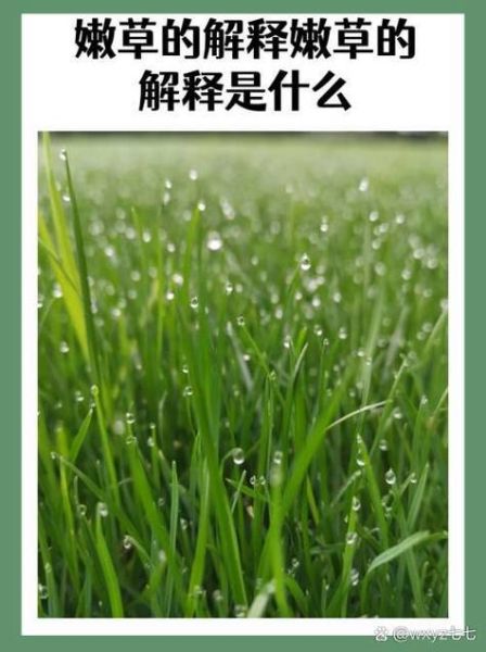 绿色仿照写词语有哪些_绿色仿照写词语怎么写