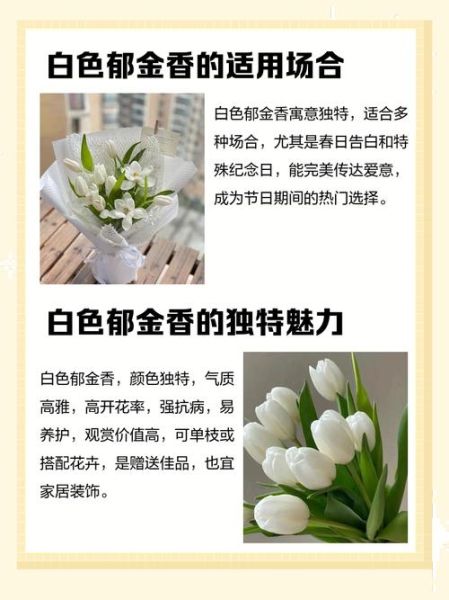 白色花形容词有哪些_白色花如何描写