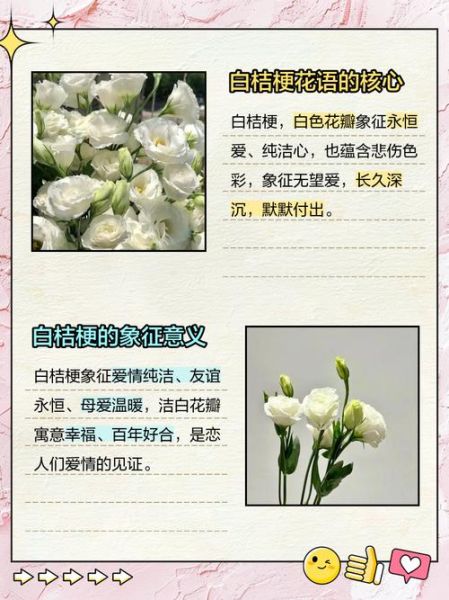 白色花形容词有哪些_白色花如何描写