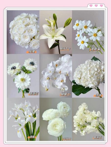 白色花形容词有哪些_白色花如何描写