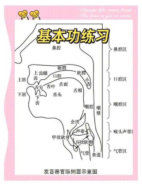口部动作有哪些_如何训练发音器官