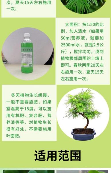 种树苗用什么肥料好_怎么种树苗成活率高