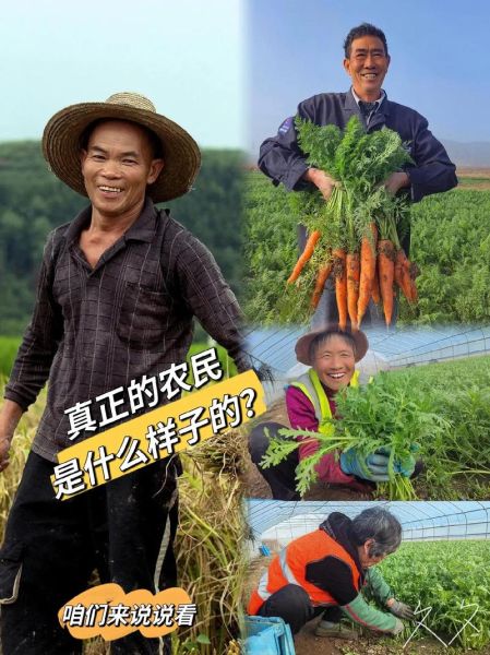 农民特点有哪些_农民性格特征是什么