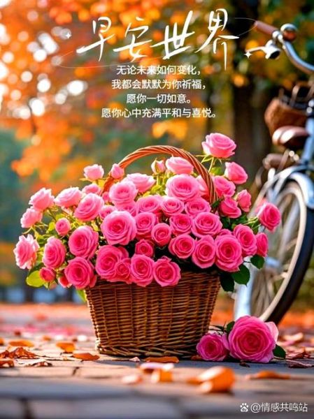 晨光唯美词语有哪些_如何描写清晨第一缕阳光