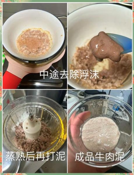 宝宝牛肉辅食怎么做_牛肉泥几个月可以吃