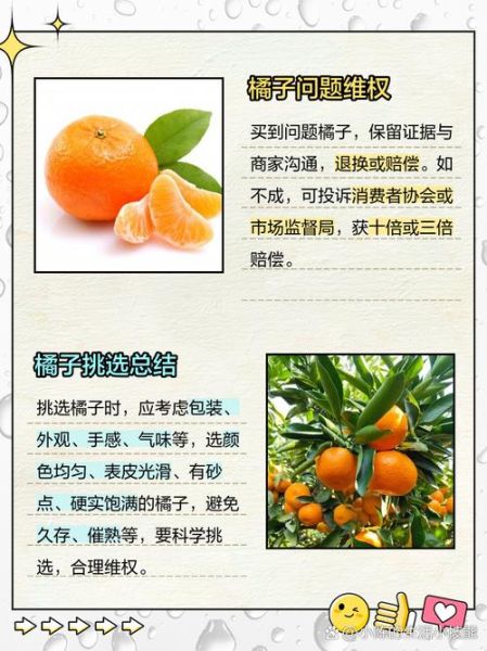 橘子味道怎么形容_橘子香气有哪些词语