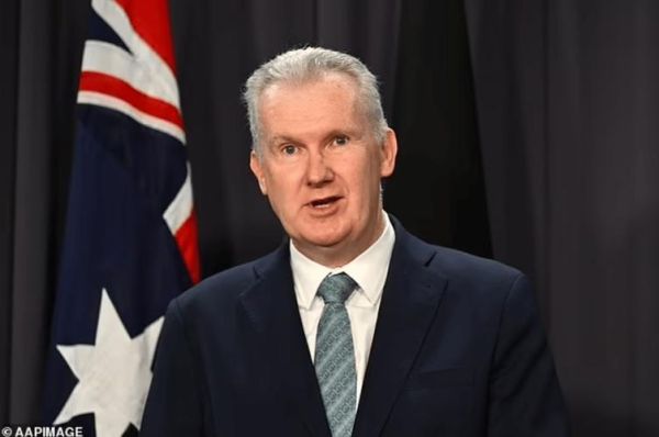 澳洲移民部长是谁_澳洲移民部长最新政策