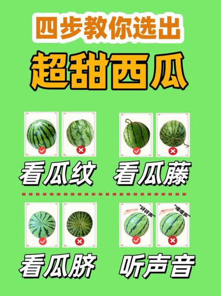 西瓜怎么挑_西瓜甜不甜看哪里