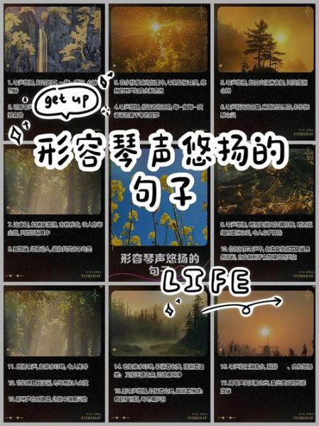 琴声怎么形容_琴声像什么