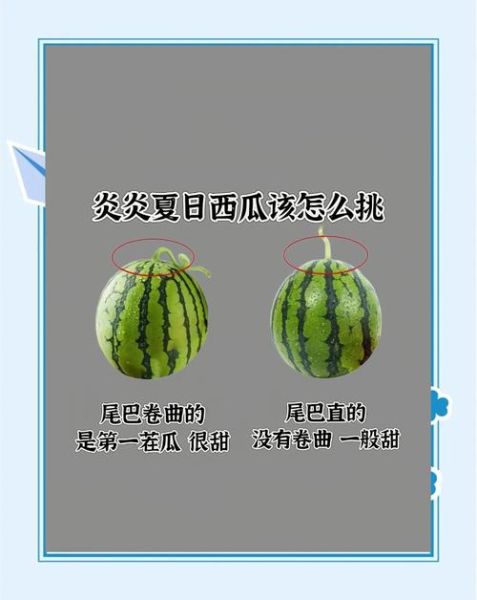 西瓜怎么挑_西瓜甜不甜看哪里