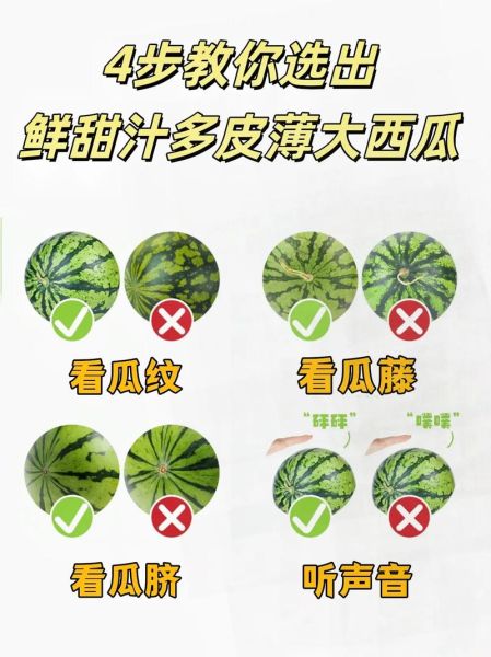 西瓜怎么挑_西瓜甜不甜看哪里