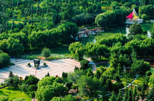 描写绿地的优美词语有哪些_如何写出诗意盎然的绿色场景