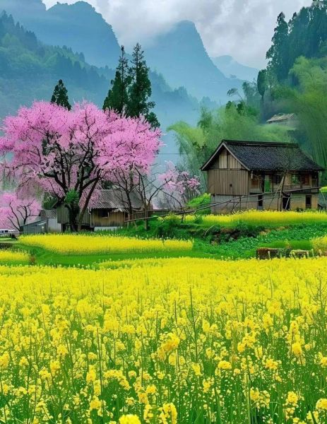 描写绿地的优美词语有哪些_如何写出诗意盎然的绿色场景