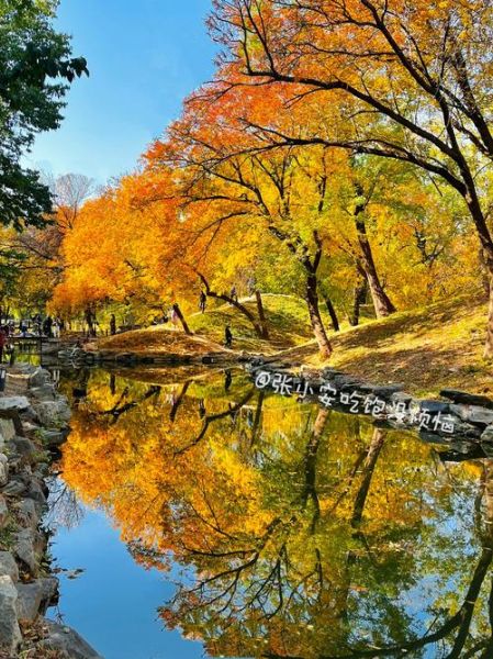 北京秋天哪里最美_北京赏秋最佳去处